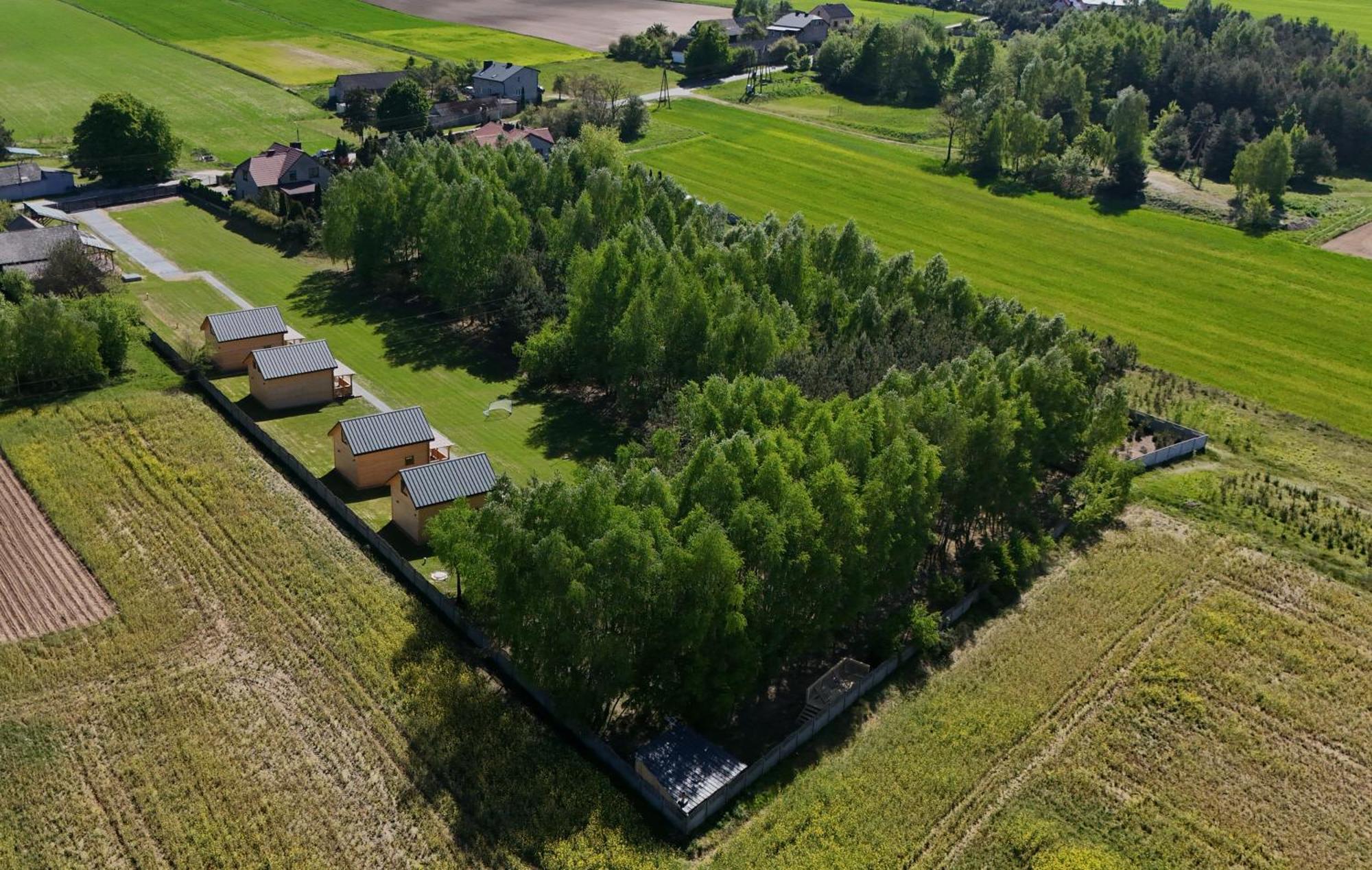 Kasztanowe Wzgorze Na Jurze Villa Kroczyce Dış mekan fotoğraf